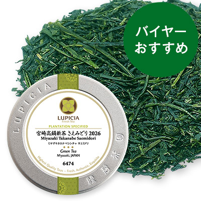宮崎高鍋新茶 さえみどり 2026 - 50g S 缶入