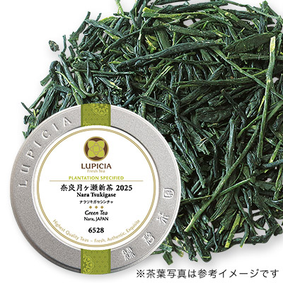 ޗǌV 2025 - 50g S ʓ