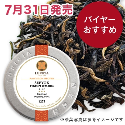 �V�[���N, 2026-DJ65 - 20g S �ʓ�