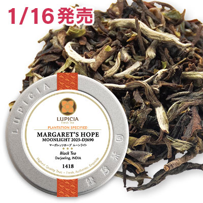 マーガレッツホープ ムーンライト, 2025-DJ690 - 20g M 缶入