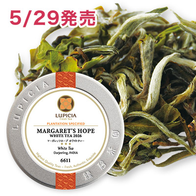 マーガレッツホープ ホワイトティー 2026 - 20g M 缶入