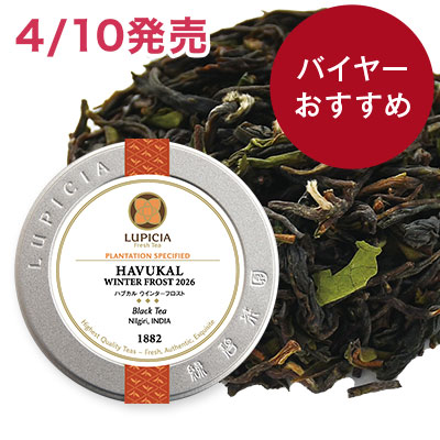 �n�u�J�� �E�C���^�[�t���X�g 2026 - 40g M �ʓ�