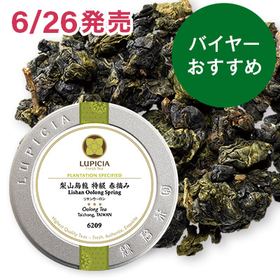 梨山烏龍 特級 春摘み - 30g S 缶入