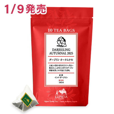 ダージリン オータムナル 2025 ティーバッグ10個入