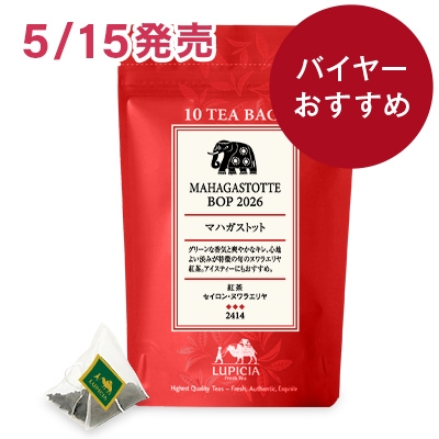 �}�n�K�X�g�b�g 2026 �e�B�[�o�b�O10��