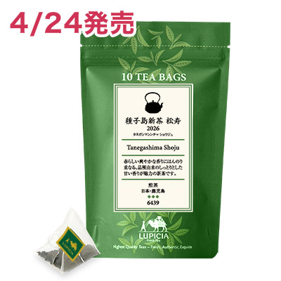 ��q���V�� ���� 2026 �e�B�[�o�b�O10��