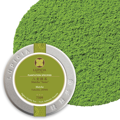 �������� - 20g�v�`��