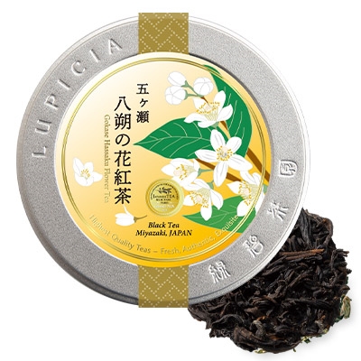 五ヶ瀬 八朔の花紅茶 30g限定デザイン缶入