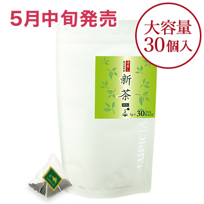 �V�� �[���� 2026 �e�B�[�o�b�O30��