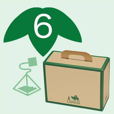 2026�ĕ��� �|�y6�z�e�B�[�o�b�O �m���J�t�F�C���E���[�J�t�F�C���E�n�[�u�i�t���[�o�[�h�܂ށj