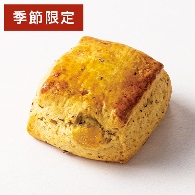 �X�R�[�� �������A�[���O���C