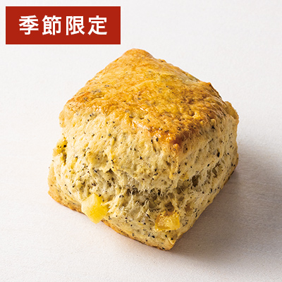 �X�R�[�� �j���M����������