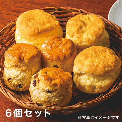 up̍KXR[v6ZbgiⓀj