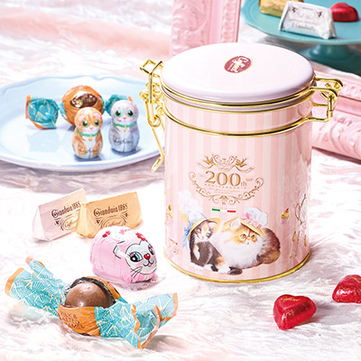 �J�t�@���� �˂��̃e�B�[�^�C�� �L���j�X�^�[��