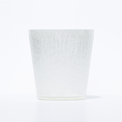 IZ GLASS X V[g