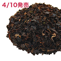 �^�C�K�[�q�� 2026