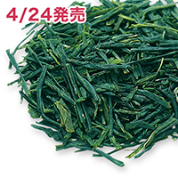 ��q���V�� ���� 2026