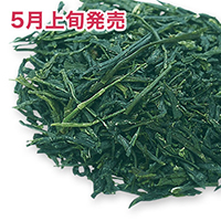 ���v���V�� ������ 2026