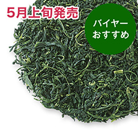 �m���V�� �ʗΒ� 2026