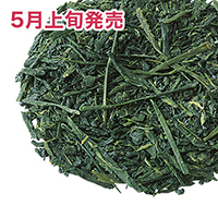 �������V�� 2026