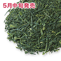 �|��V�� 2026