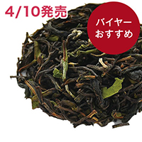 �n�u�J�� �E�C���^�[�t���X�g 2026