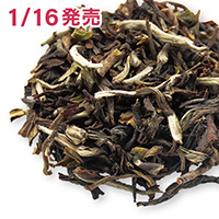 �}�[�K���b�c�z�[�v ���[�����C�g, 2025-DJ690&nbsp;20g&nbsp;�ܓ�