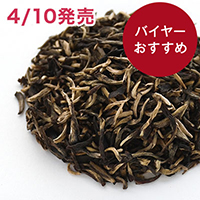 �`�������W �S�[���f���`�b�v�X 2026