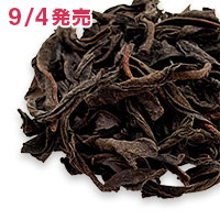 �쓊���t�g�� �ēE��
