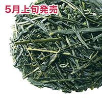 �É��ێq�V�� �ߓ����� 2026