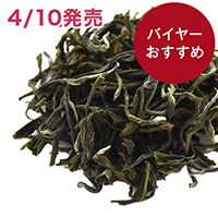 �O�����f�[�� �O���[���g���[�� 2026