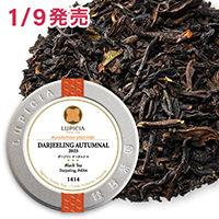 �_�[�W���� �I�[�^���i�� 2025&nbsp;50g&nbsp;�ʓ�