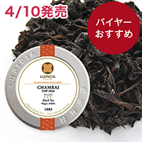 �`�������W 2026&nbsp;50g&nbsp;�ʓ�