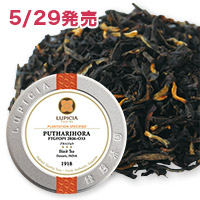 �v�^���W����, 2026-O33&nbsp;50g&nbsp;�ʓ�