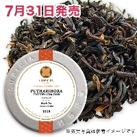 �v�^���W����, 2026-O239&nbsp;50g&nbsp;�ʓ�