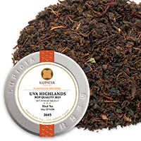 Eo nCY NIeB[ 2023 50g ʓ