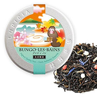 BUNGO-LES-BAINS 50g デザイン缶入