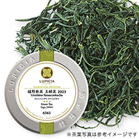 嬉野新茶 玉緑茶 2023 50g 缶入