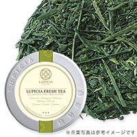 鹿児島新茶 2023 50g 缶入