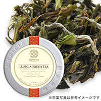 Uq t[N[i, 2025-EX18 20g ʓ