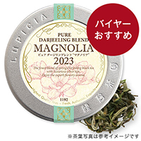 ピュア ダージリンブレンド "マグノリア" 2023 25g 缶入