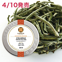 �`�������W �z���C�g�e�B�[ 2026&nbsp;20g&nbsp;�ʓ�