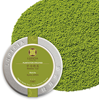 �F������&nbsp;20g&nbsp;�v�`��