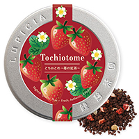ƂƂ `䕂̍g` 50g fUCʓ