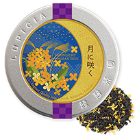 ɍ炭 40g fUCʓ
