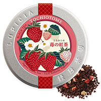 とちおとめ 〜苺の紅茶〜 50g 限定デザイン缶入
