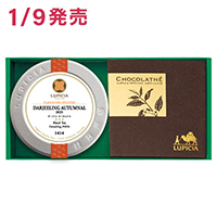 �{�̃_�[�W�����g���Ƃ��َq�u�N���b�V�[�v&nbsp;&nbsp;