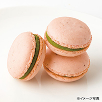 �T�N���̃}�J����