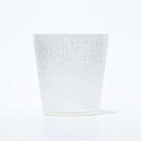 IZ GLASS X V[g  