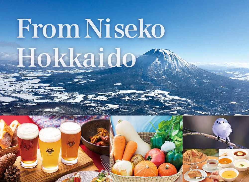 from Niseko